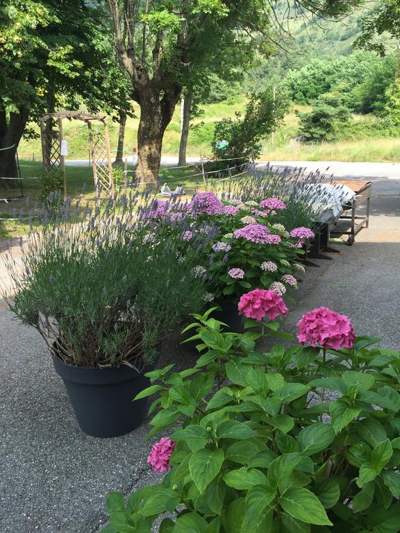 Auberge Du Col De Brouis 브레이유쉬르로야 외부 사진