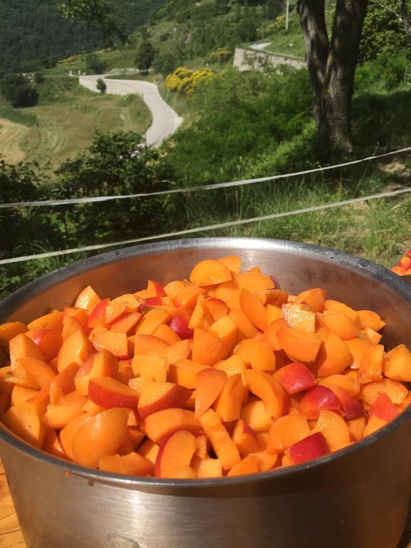 Auberge Du Col De Brouis 브레이유쉬르로야 외부 사진